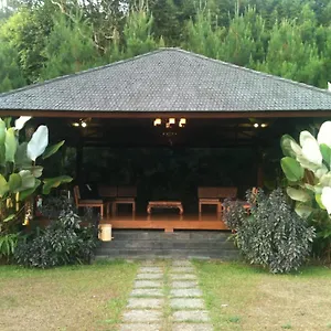 Kastuba 3*