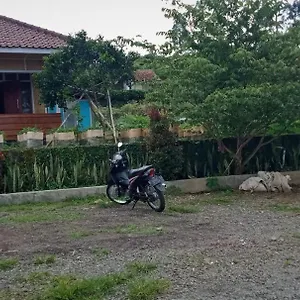 Mini Nes Ciwidey 8-person * Bandung