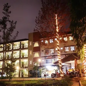 Lotus Hotel